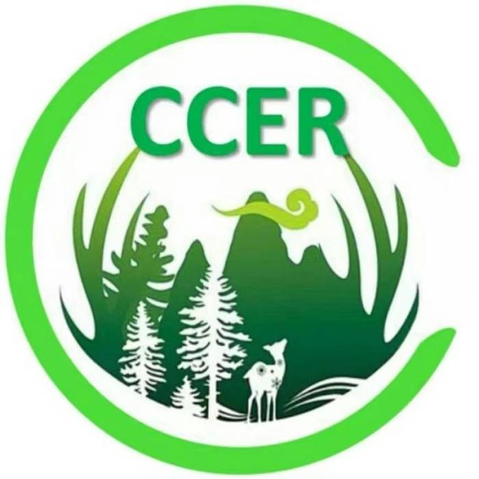 CCER缔造区块链应用碳资产交易先进平台
